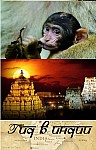 Difference_India_024.jpg