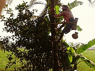 Difference_India_080.jpg